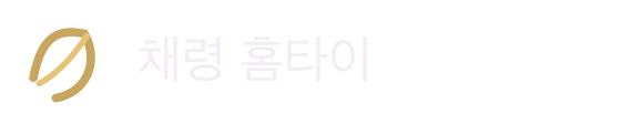 채령 홈타이